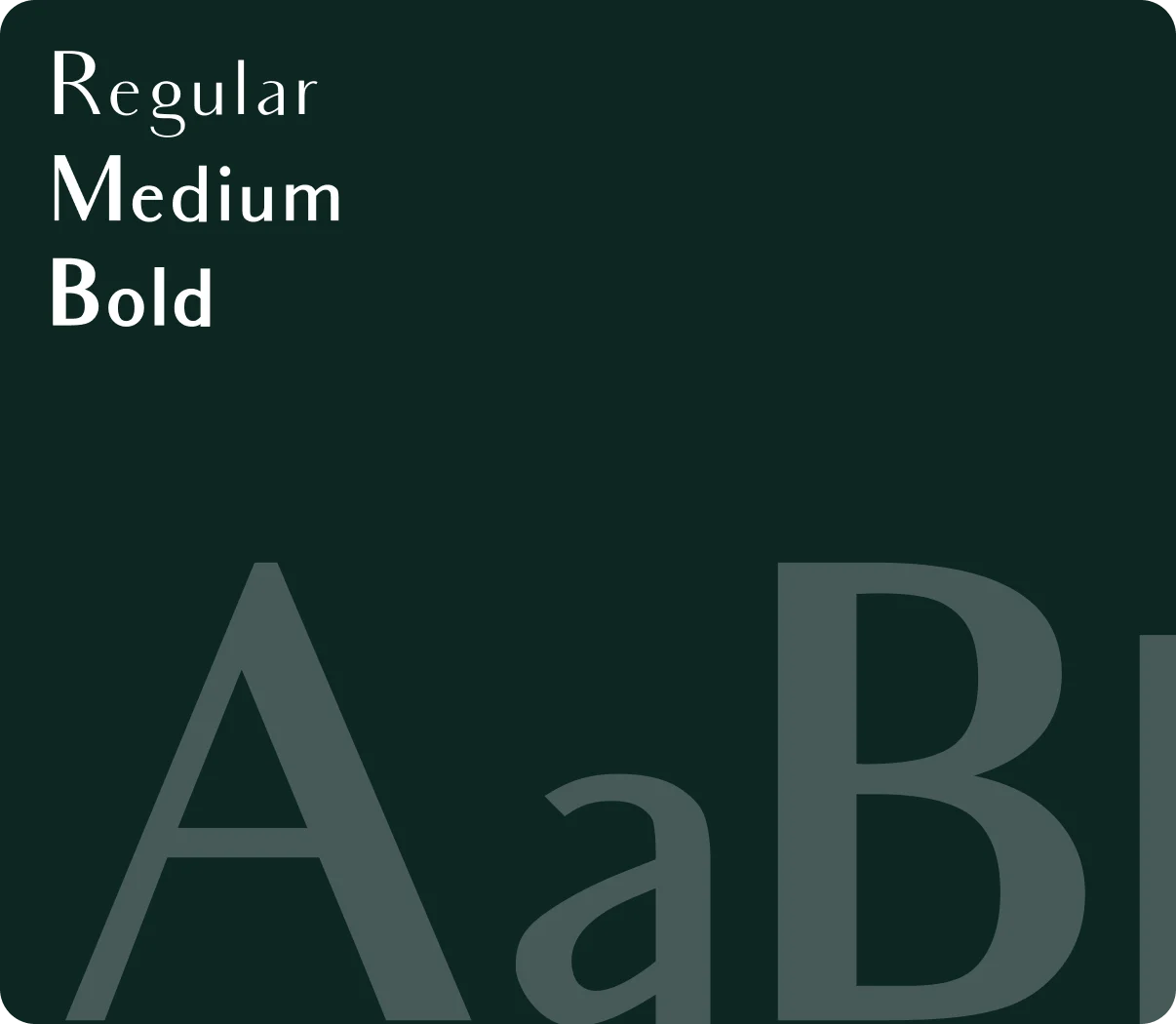 logo_bezozhome_realestate_typography1_10turtle