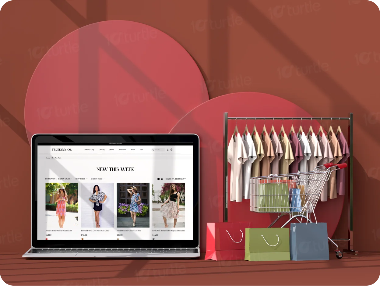 Client's Design Vision section image