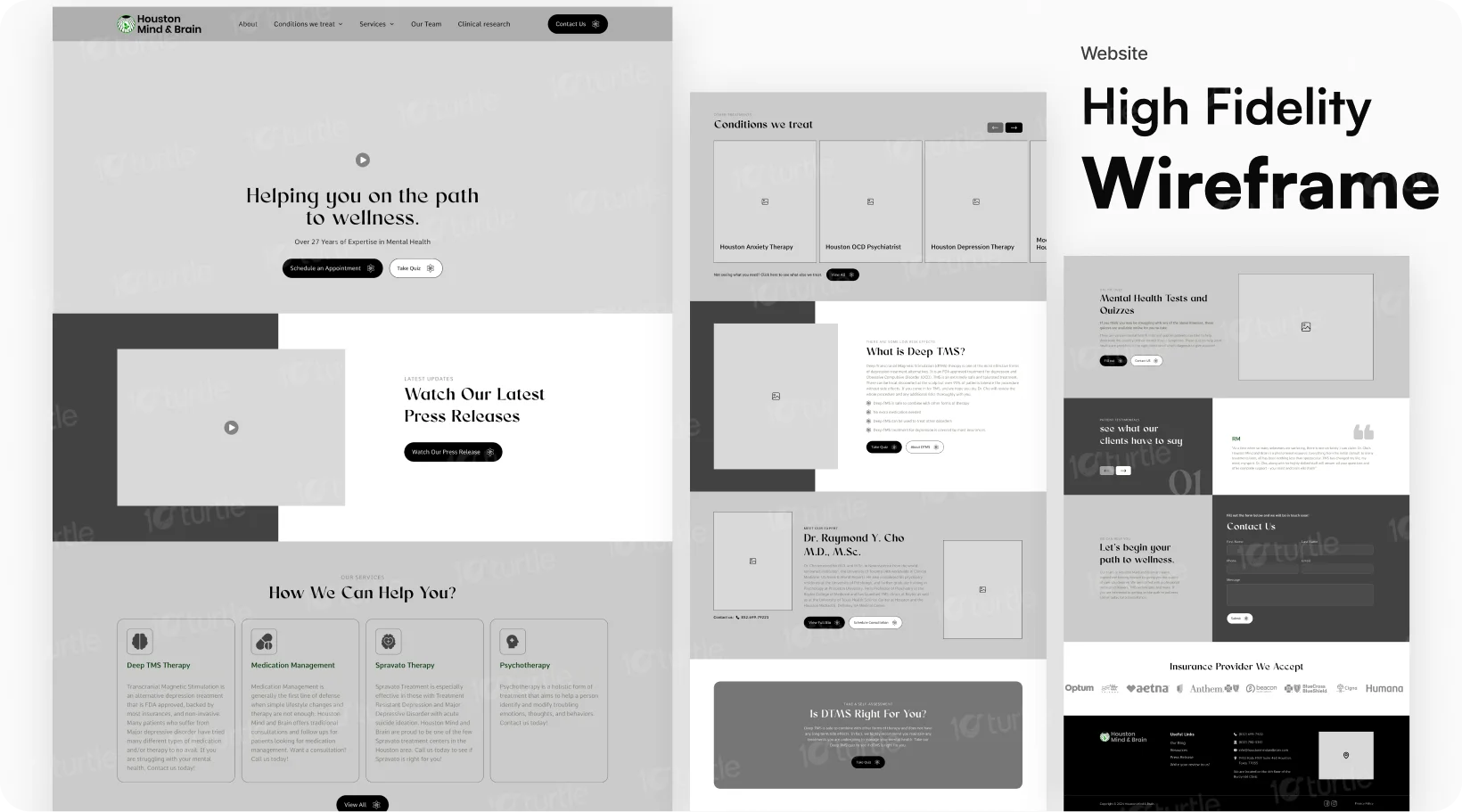 10turtle case study