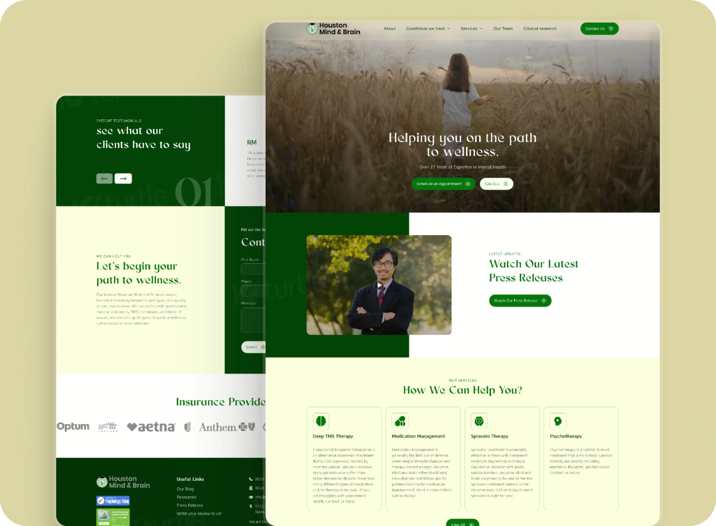 10turtle case study