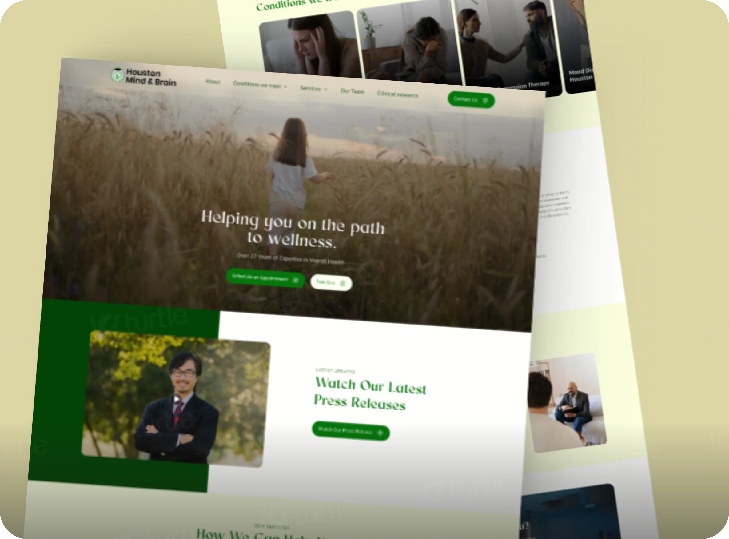 10turtle case study