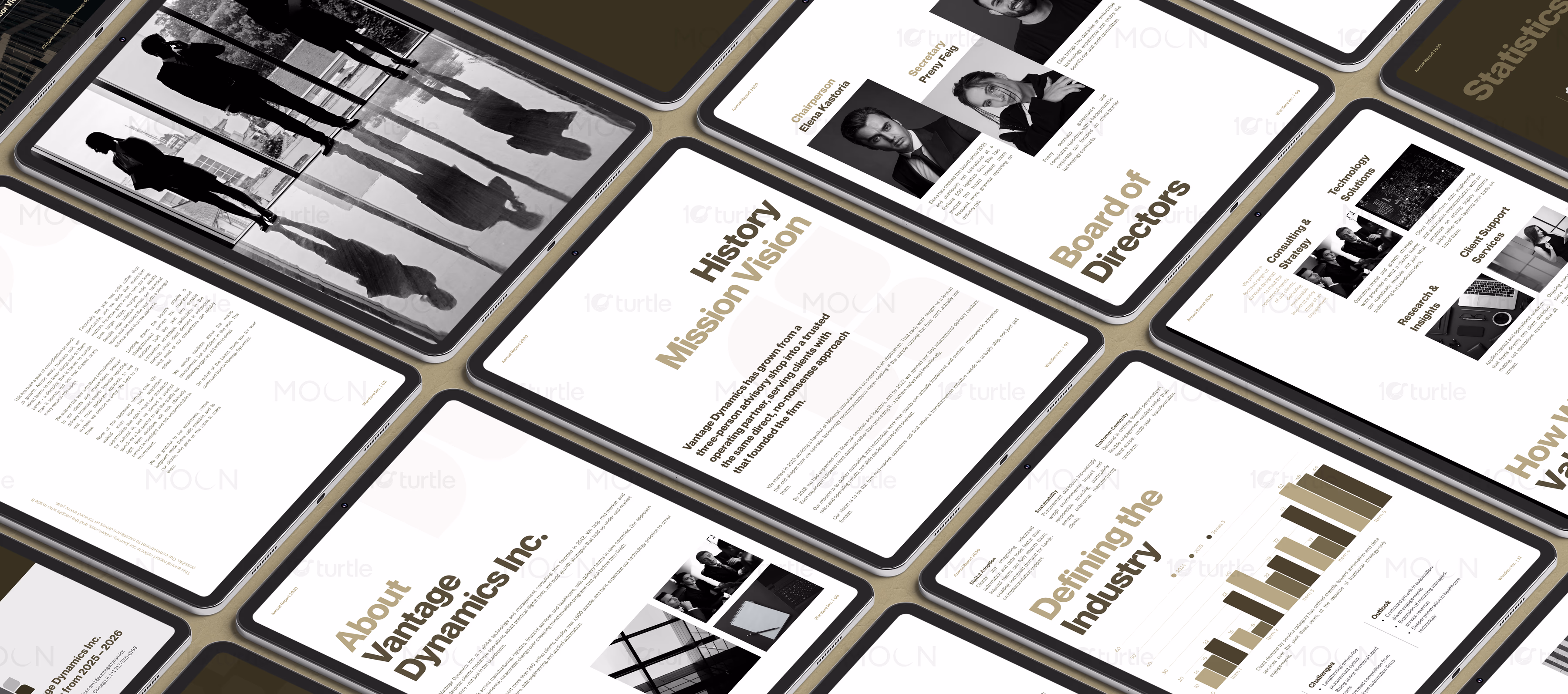 Vantage Dynamics Annual Report