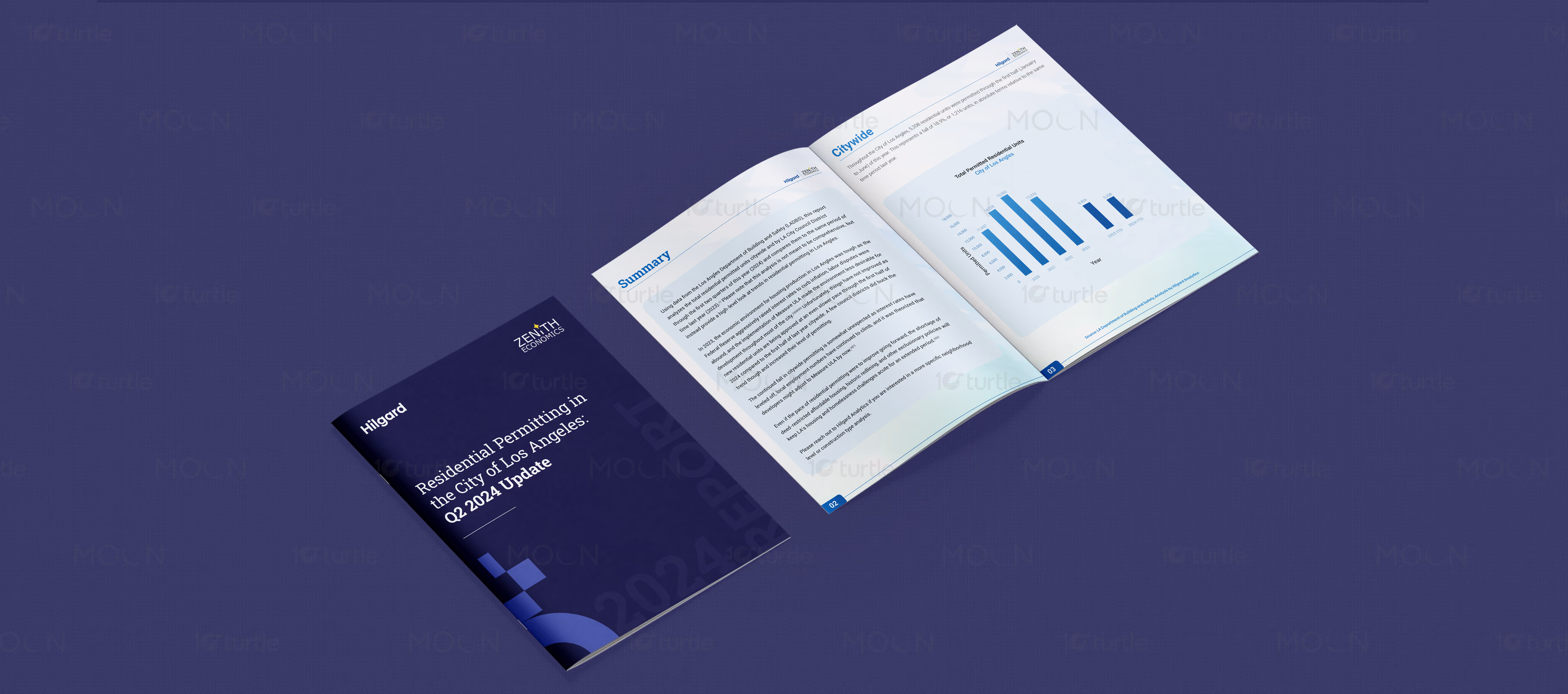 Business White Paper Design Case Study