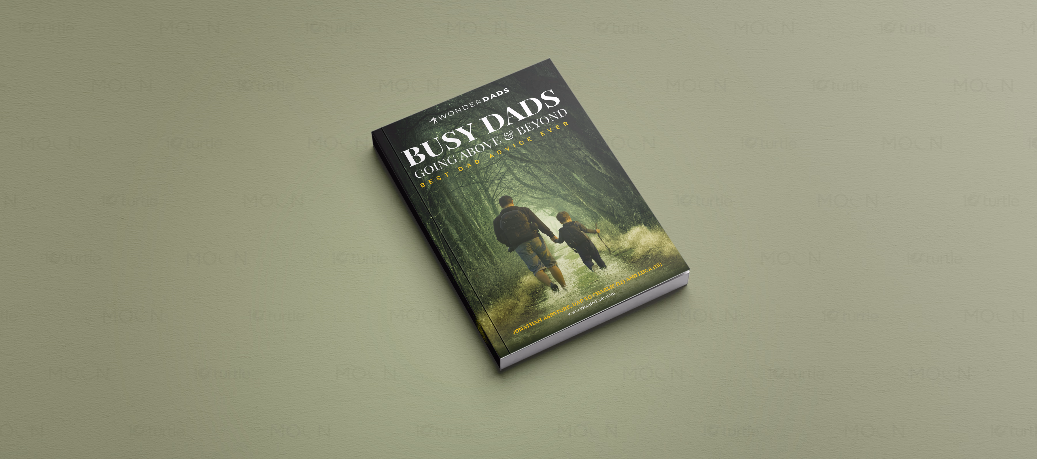 Book Cover Design Publishing Case Study